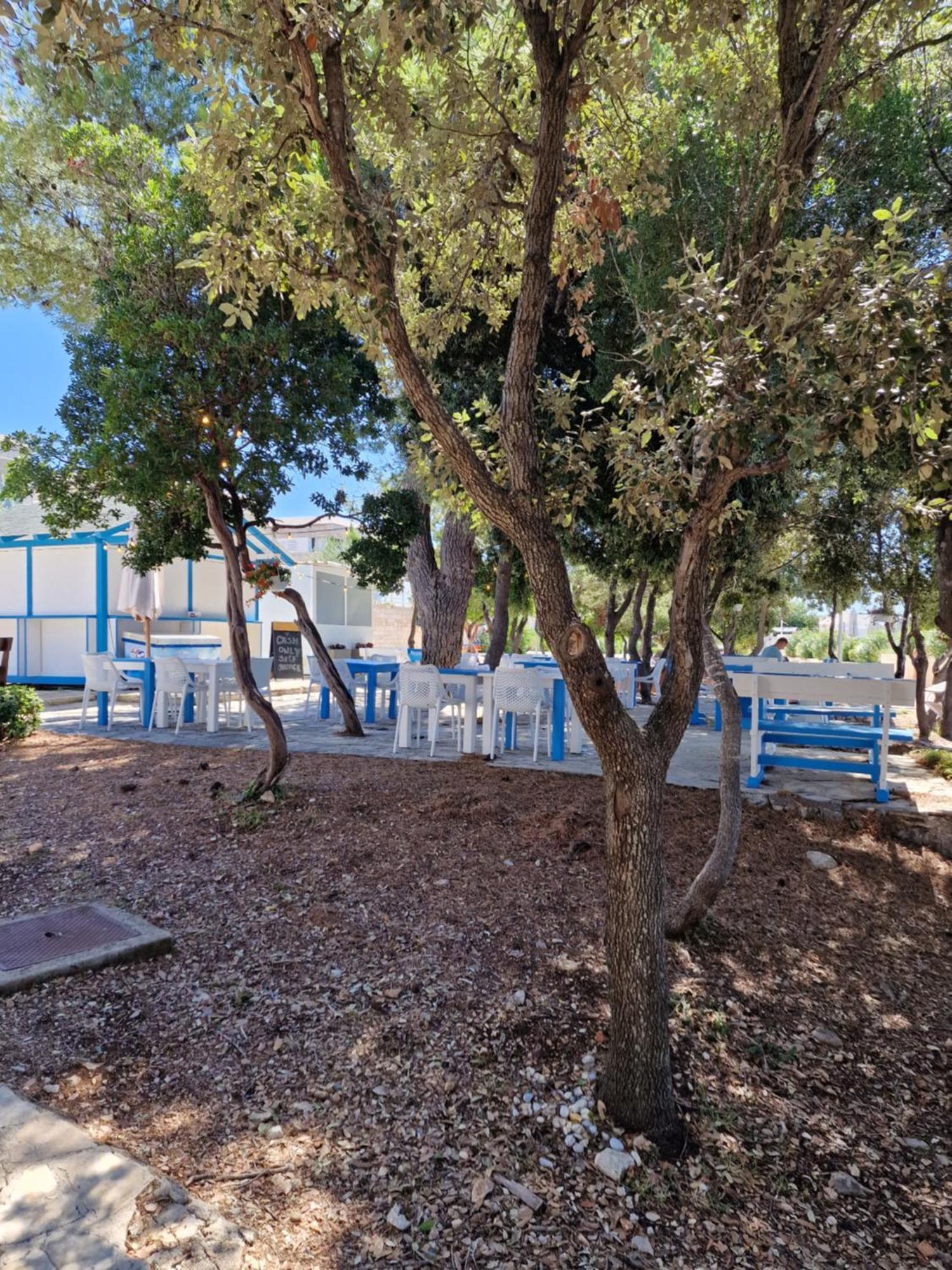 Residence-Apartment-Giuliano-Punta Skala, Petrcane Eksteriør bilde